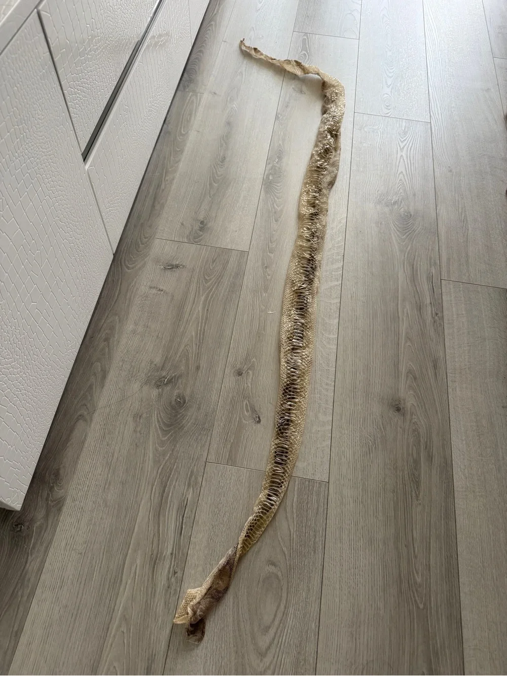 N/A authentic brown